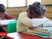 As crianças superdotadas negligenciadas ou expulsas das escolas: ‘Meu filho era visto como problema’