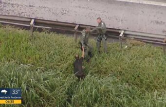 Helicóptero com 4 a bordo cai na Grande SP; piloto é resgatado com vida