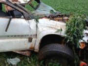 Homem capota S-10 ao desviar de anta em rodovia de Lucas do Rio Verde :: Notيcias de MT