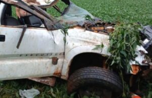 Homem capota S-10 ao desviar de anta em rodovia de Lucas do Rio Verde :: Notيcias de MT