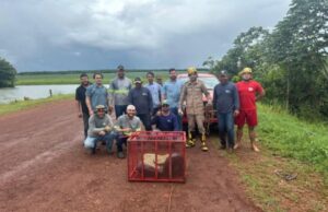 09:52 –
Sucuri de 5 metros é resgatada em área de risco próximo a represa no interior de MT