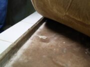 Hotel é interditado por colchões mofados e camisinhas usadas espalhadas nos quartos :: Notícias de MT