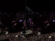 15:22 –
Motorista morre e duas pessoas ficam feridas em batida entre F-1000 e caminhão em rodovia de MT