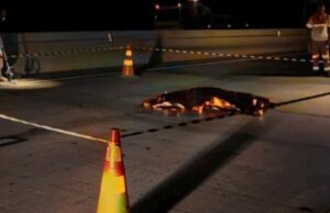 09:35 –
Mulher morre atropelada por carro na BR-364