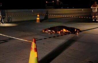 09:35 –
Mulher morre atropelada por carro na BR-364