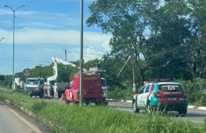 15:33 –
Chuva causa queda de árvores e poste na Estrada da Guarita; trânsito interditado