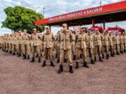 18:31 –
Corpo de Bombeiros divulga resultado preliminar de seletivo para bombeiros temporários em MT: confira