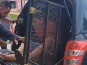 18:56 – 
							Polícia prende dois criminosos que incendiaram lojas em MT; um é faccionado