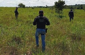 Jovens desaparecidas são encontradas mortas em pasto em MT