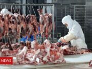 Imigração: os brasileiros que vão para a Irlanda trabalhar em ‘condições precárias e abusivas’ em frigoríficos