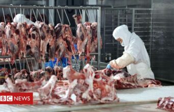 Imigração: os brasileiros que vão para a Irlanda trabalhar em ‘condições precárias e abusivas’ em frigoríficos