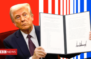 Cidadania americana para nascidos nos EUA: Justiça bloqueia decisão de Trump que barrava cidadania para filhos de imigrantes