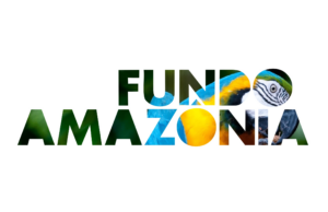 Trump assina decreto para saأda dos EUA do Acordo de Paris; veja impactos para o meio ambiente | Meio Ambiente