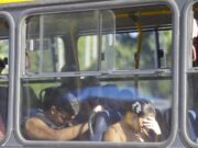 Rio atinge Nأvel de Calor 4 pela primeira vez desde a criaأ§أ£o de protocolo para altas temperaturas