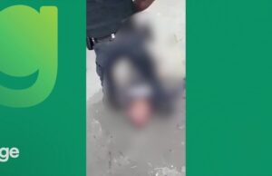 Cruzeiro x Atlأ©tico-MG: briga entre organizadas deixa feridos antes de clأ،ssico; vأdeo | futebol