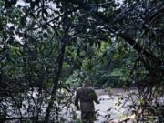 Bombeiros realizam buscas por mulher que desapareceu no rio após cair de ponte :: Notícias de MT