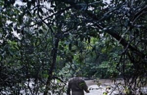 Bombeiros realizam buscas por mulher que desapareceu no rio após cair de ponte :: Notícias de MT
