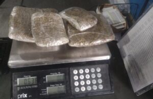 14:21 –
Mulher é presa ao tentar entrar em presídio com quatro pacotes de maconha