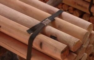 10:22 –
Pai expulsa filho de casa e o agride com pauladas em Cáceres