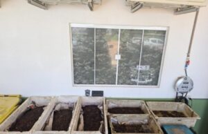 15:38 –
PM apreende 84 caranguejos e 55 quilos de minhocas em comércio ilegal de iscas vivas