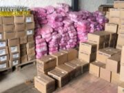 19:31 –
Governo de Mato Grosso garante fornecimento regular de itens essenciais para higiene e bem-estar de detentos