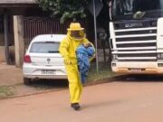 17:02 –
Quatro cachorros morrem após ataque de abelhas; mulher e outros animais foram resgatados