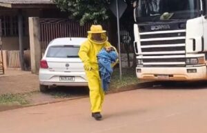 17:02 –
Quatro cachorros morrem após ataque de abelhas; mulher e outros animais foram resgatados