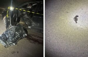 07:24 –
Bandido reage durante abordagem e morre baleado em confronto com a PM