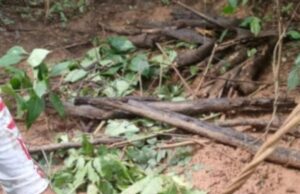 17:29 –
Mais um corpo é localizado em cemitério clandestino de facção criminosa