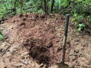 14:44 –
Politec identifica primeira vítima encontrada em cova de cemitério clandestino