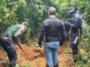 12:05 –
Forças de segurança ampliam buscas em cemitério clandestino usado como 'desova' de facção criminosa