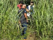 09:15 –
Corpo de homem é encontrado em região de mata em cidade de Mato Grosso