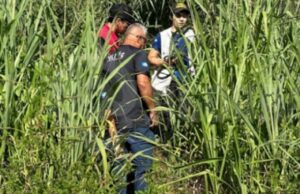 09:15 –
Corpo de homem é encontrado em região de mata em cidade de Mato Grosso