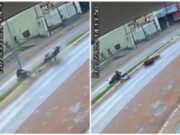 07:35 –
Homem morre e garupa fica ferido após moto bater em poste de canteiro central; veja vídeo