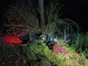 09:15 –
Jovem morre após perder controle de moto e colidir contra árvore em Cuiabá