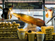 Manaus e São Paulo são selecionadas como candidatas ao título de Cidades Criativas da Unesco — Ministério da Cultura