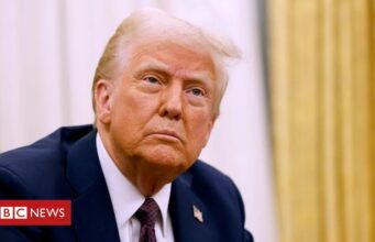 Donald Trump e América Latina: como Brasil e outros países podem se ‘proteger’ de retaliações