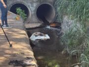 Corpo é encontrado amarrado em saco plástico em Cuiabá