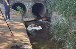 Corpo é encontrado amarrado em saco plástico em Cuiabá