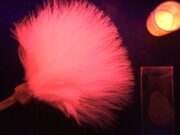 Pesquisa de servidor da Politec é destaque em revista internacional