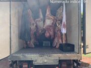 Ação conjunta da PM e Indea apreende 2,8 toneladas de carnes transportadas de forma irregular