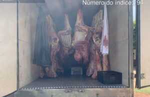 Ação conjunta da PM e Indea apreende 2,8 toneladas de carnes transportadas de forma irregular