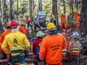 Decreto de Trump suspende parceria EUA-Brasil financiado pela USAID para combate a incأھndios florestais | Meio Ambiente
