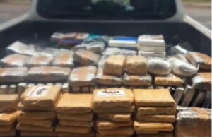 Polícia apreende 370 kg de drogas e causa prejuízo de R$ 3,5 mi