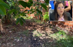 Perícia: jovem estava viva quando bebê foi tirado do seu ventre