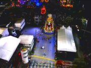 Gaviões, Tucuruvi e Vai-Vai entram para grupo de favoritas em São Paulo