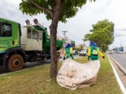 08:03 –
Limpurb realiza ação intensiva em mutirão de limpeza na MT-251
