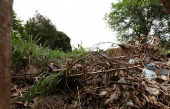 16:04 –
Mais de 300 terrenos baldios já passaram pela operação Fiscaliza e Cuida