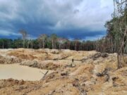 12:10 –
Garimpos ilegais em terra indígena equivalem a 109 campos de futebol, aponta Greenpeace