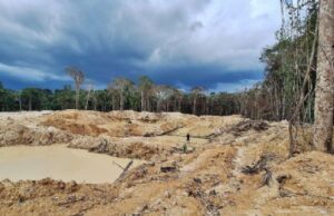 12:10 –
Garimpos ilegais em terra indígena equivalem a 109 campos de futebol, aponta Greenpeace
